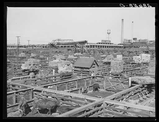 Stockyards. Denver, Colorado