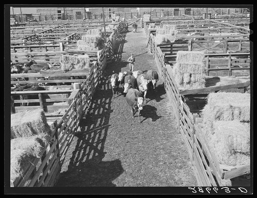 Stockyards, Denver, Colorado