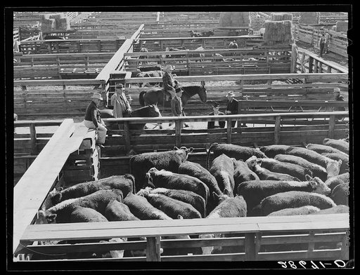 Stockyards, Denver, Colorado