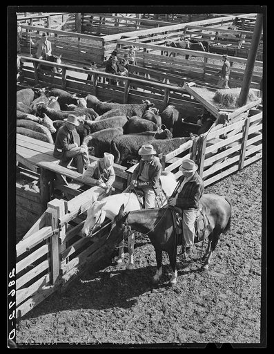 Making a sale. Stockyards, Denver, Colorado