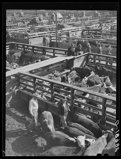 Stockyards. Denver, Colorado
