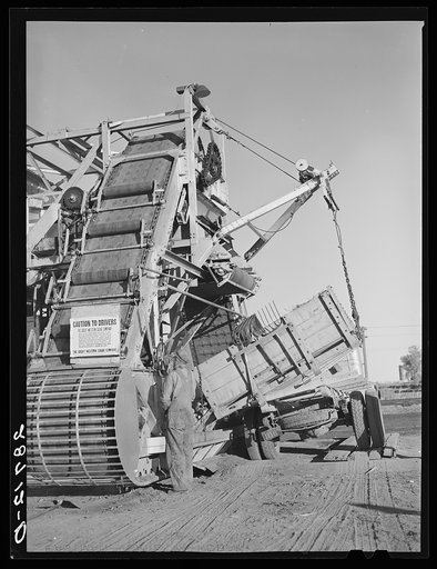 Machine for piling sugar beets at railroad. Adams County, Colorado