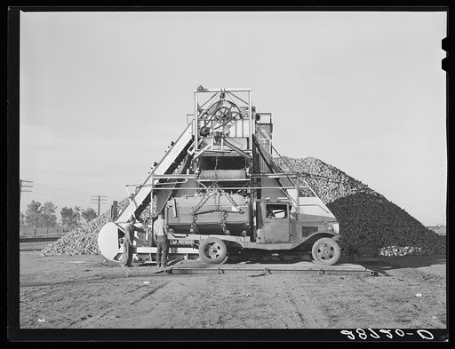 Sugar beets in farmer's truck are unloaded at railroad. Adams County, Colorado