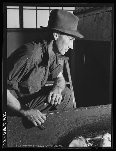 Worker in sugar beet factory. Brighton, Colorado
