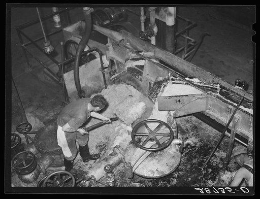 Untitled photo, possibly related to: Loading diffusion chamber with sugar beet pulp in factory at Brighton, Colorado