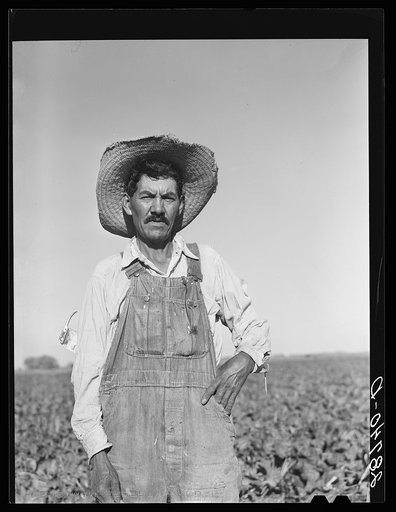 Spanish-American sugar beet worker. Adams County, Colorado