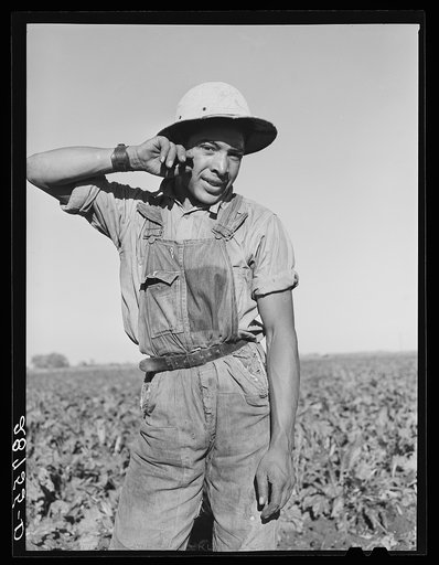 Young Spanish-American sugar beet worker. Adams County, Colorado