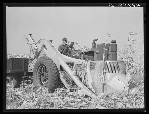 Mechanical corn picker. Fred Coulter farm. Grundy County, Iowa