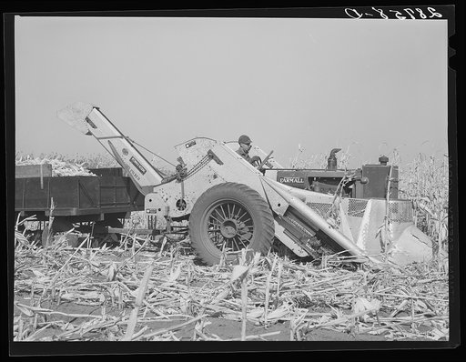 Untitled photo, possibly related to: Mechanical corn picker. Fred Coulter farm. Grundy County, Iowa