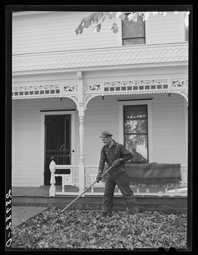 Raking leaves. Fred Ukro farm. Grundy County, Iowa