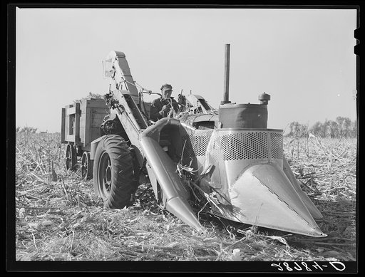 Mechanical corn picker. Grundy County, Iowa