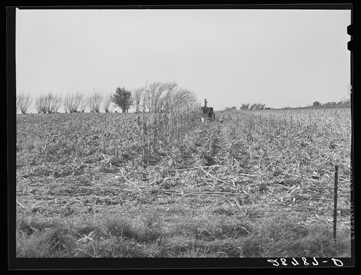 Finishing the last row in the field with a mechanical corn picker. Grundy County, Iowa
