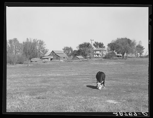 Untitled photo, possibly related to: Farm. Grundy County, Iowa