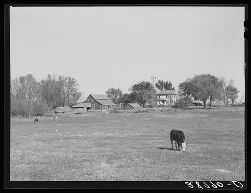 Farm. Grundy County, Iowa
