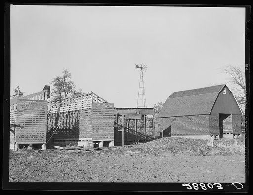 Three types of corncribs. Grundy County, Iowa