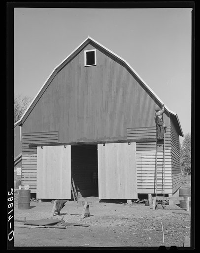 Painting a new corn crib. Grundy County, Iowa