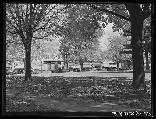 Autumn leaves on courthouse lawn. Grundy Center, Iowa