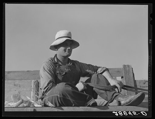 Hired hand brings in load of corn. Grundy County, Iowa