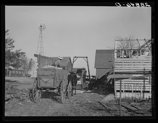 Bringing in corn from the field. Grundy County, Iowa