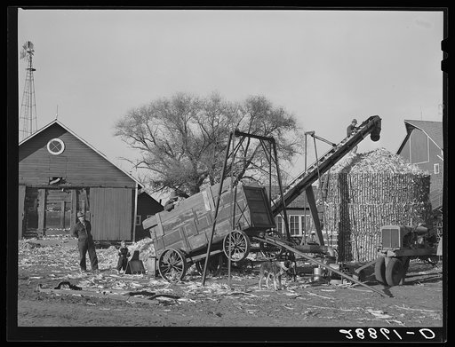 Untitled photo, possibly related to: Storing corn during harvest. Grundy County, Iowa