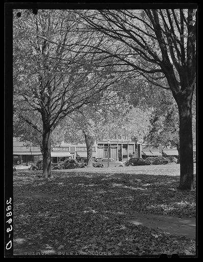 Leaves on courthouse lawn. Grundy Center, Iowa