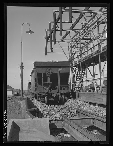 Sugar beets are unloaded over flumes in which hot water carries them to the factory. Brighton, Colorado