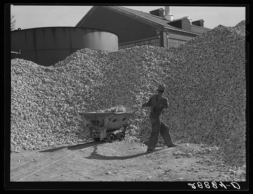 Limestone used in purification of sugar obtained from beet. Brighton, Colorado