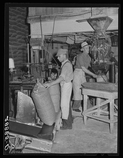Filling bags with sugar. Brighton, Colorado
