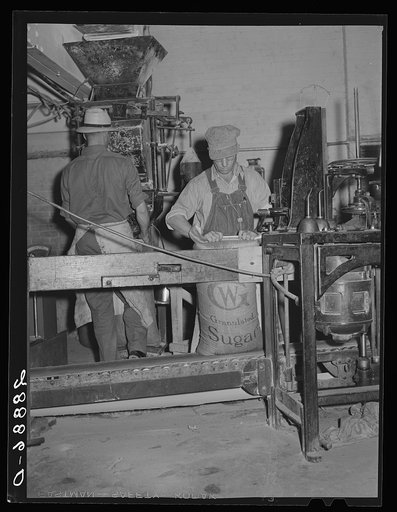 Filling bags with sugar. Brighton, Colorado