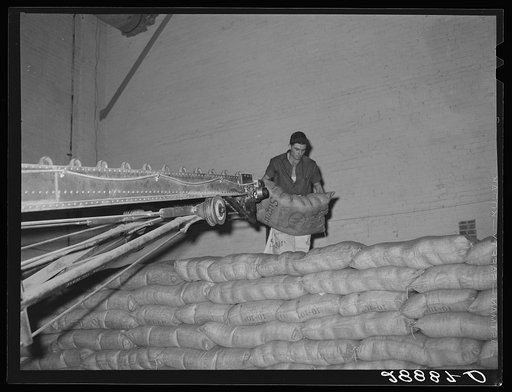 Storing bags of sugar at beet factory. Brighton, Colorado
