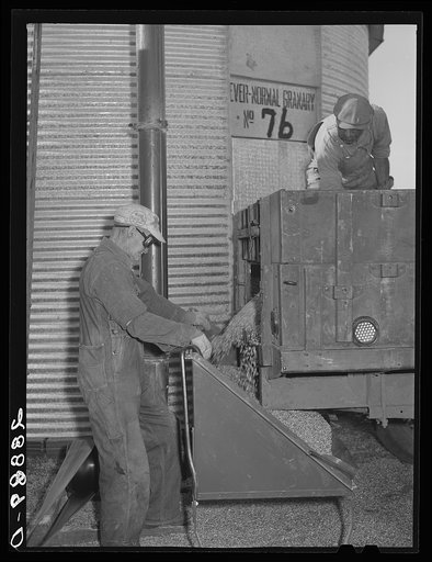 Storing corn in ever-normal granary bin. Grundy Center, Iowa