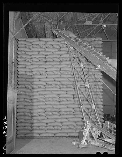 Storing bags of sugar at beet factory, Brighton, Colorado