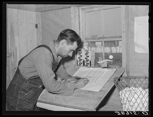 Careful records are kept of egg production. Hillview Cooperative. Osage Farms, Missouri
