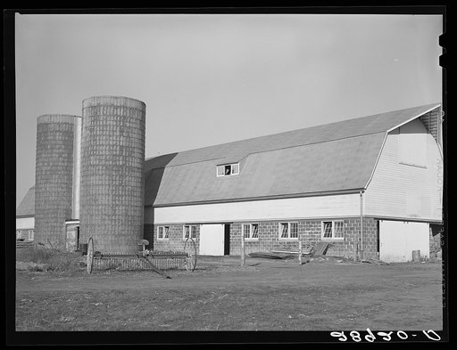 Modern dairy farm at the Bois d'Arc cooperative makes possible efficient milk production. Osage Farms, Missouri