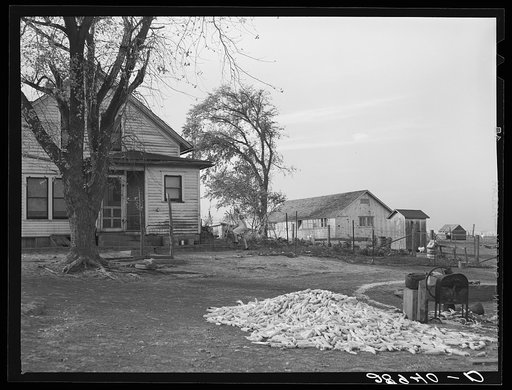 Fred Maschman received a TP loan of 10,895 dollars, which paid for his farm and extensive repairs to his house. Iowa County, Iowa