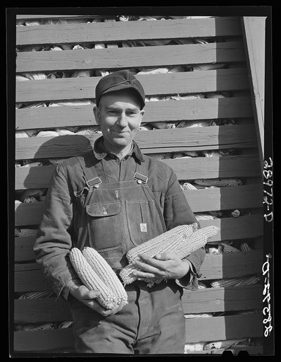 Untitled photo, possibly related to: Fred Wilfang, rehabilitation client, rents an absentee-owned 160 acre farm. Black Hawk County, Iowa