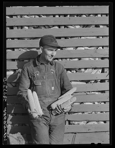 Fred Wilfang, rehabilitation client, rents an absentee-owned 160 acre farm. Black Hawk County, Iowa