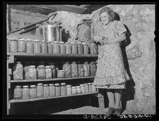Mrs. Fred Wilfang with some of the 500 quarts of canned goods she has put up this year. Black Hawk County, Iowa