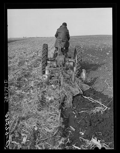 Fred Wilfang, rehabilitation client, does his fall plowing. Black Hawk County, Iowa