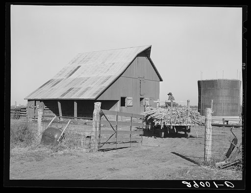 Member of Bois d'Arc Cooperative drives wagon load of sorgo to feedlot. Osage Farms, Missouri