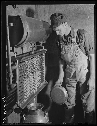 Most of the milk is refrigerated until time for shipment to nearby city. Osage Farms, Missouri
