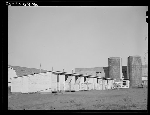 Untitled photo, possibly related to: Buildings are efficiently designed for modern farm methods. Bois d'Arc Cooperative. Osage Farms, Missouri