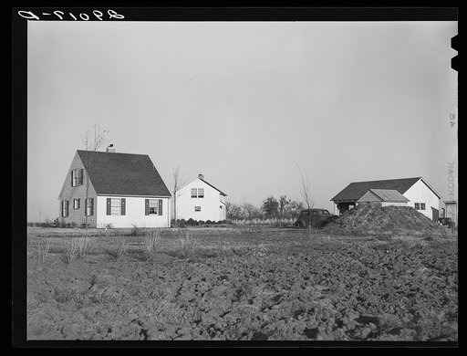 Houses at the Bois d'Arc Cooperative farm. Osage Farms, Missouri