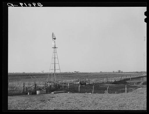 Watering tank for feeder cattle. Bois d'Arc Cooperative. Osage Farms, Missouri