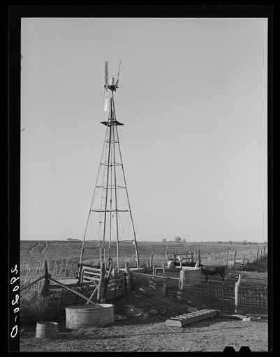 Untitled photo, possibly related to: Watering tank for feeder cattle. Bois d'Arc Cooperative. Osage Farms, Missouri