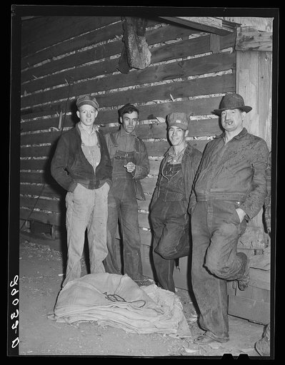 The gleaners, men who gather the ears left by the picker. Cornhusking contest. Marshall County, Iowa