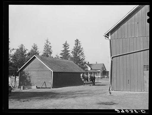Untitled photo, possibly related to: Fred Maschman, TP client, uses two teams to farm his 160 acres. Iowa County, Iowa