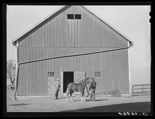His TP loan helped Fred Maschman place all the buildings on his new farm in good repair. Iowa County, Iowa