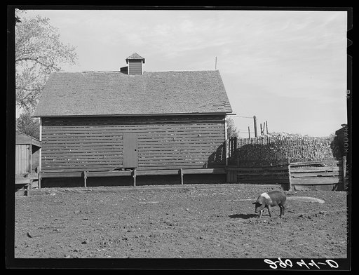 Corn cribs. Fred Goecke's farm. Marshall County, Iowa