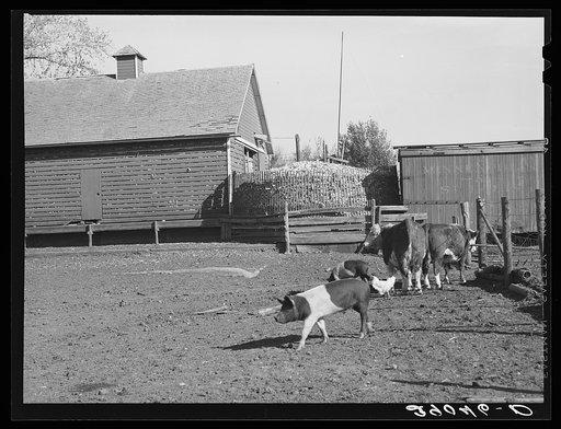 Untitled photo, possibly related to: Corncrib on Fred Goecke's farm. Marshall County, Iowa